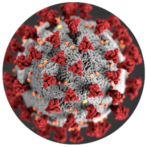 corona virus illustration